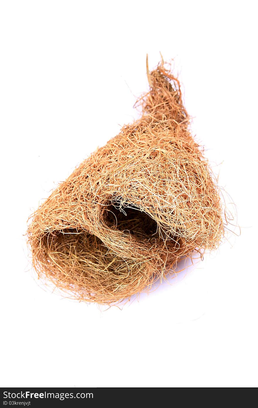 Weaver bird nest