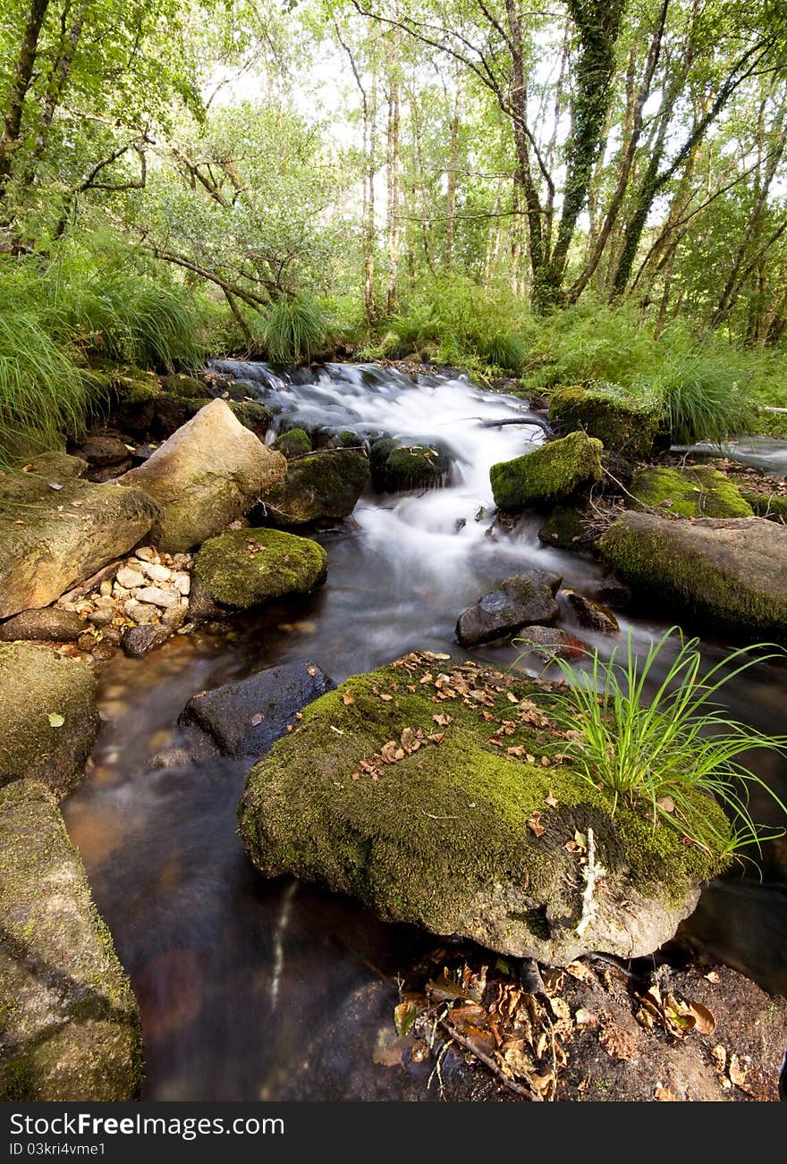 Peaceful mountain stream flows through forest. Peaceful mountain stream flows through forest