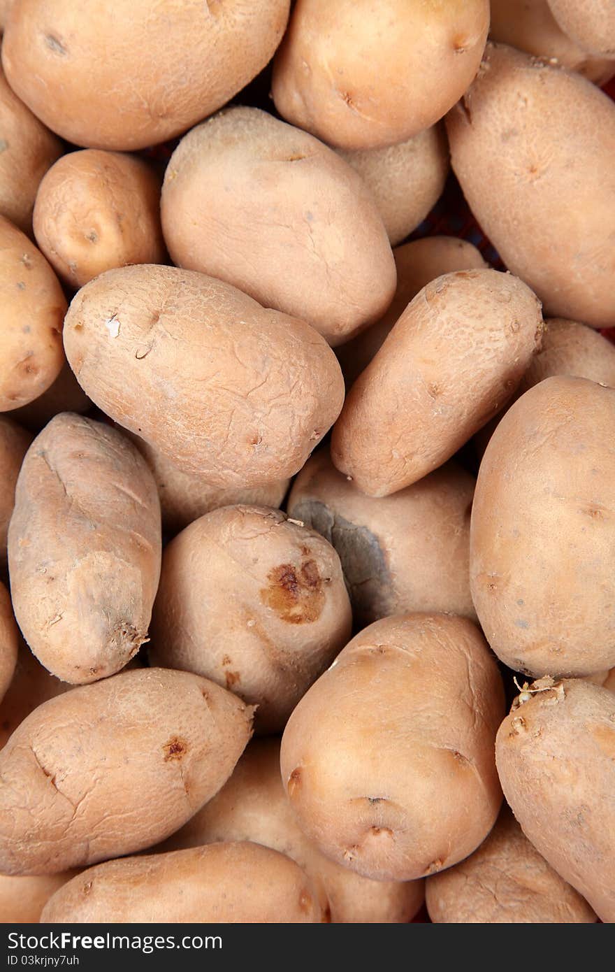 Closeup shot of potatoes looking great. Closeup shot of potatoes looking great.