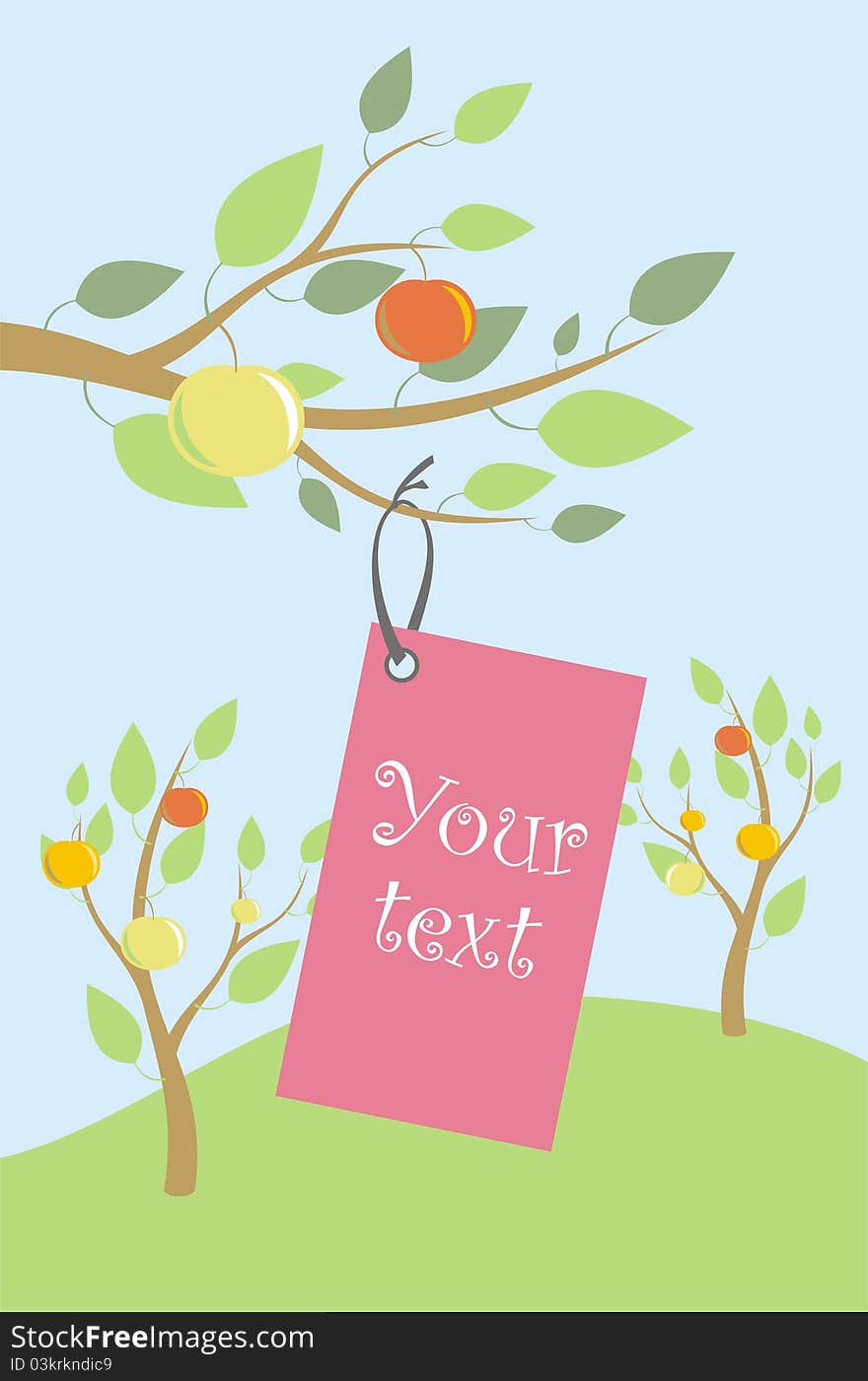 Label hung on a rope to the apple tree,. Label hung on a rope to the apple tree,