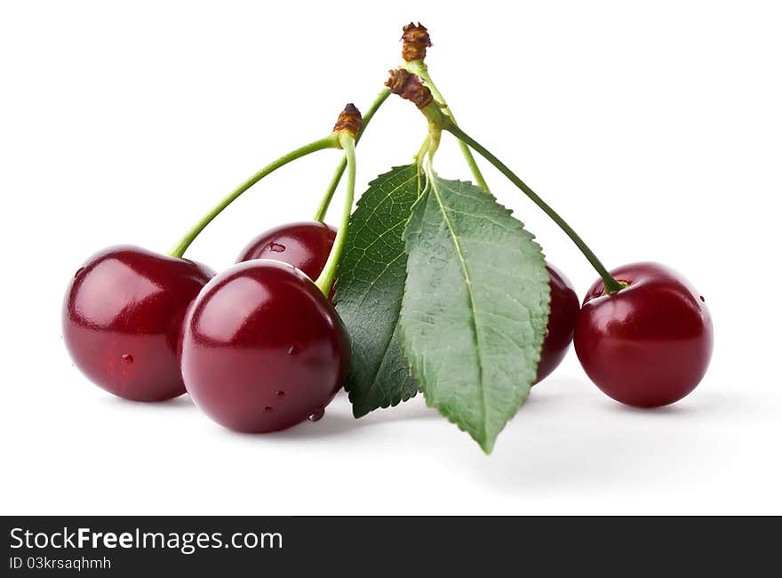 Fresh cherries with leaf