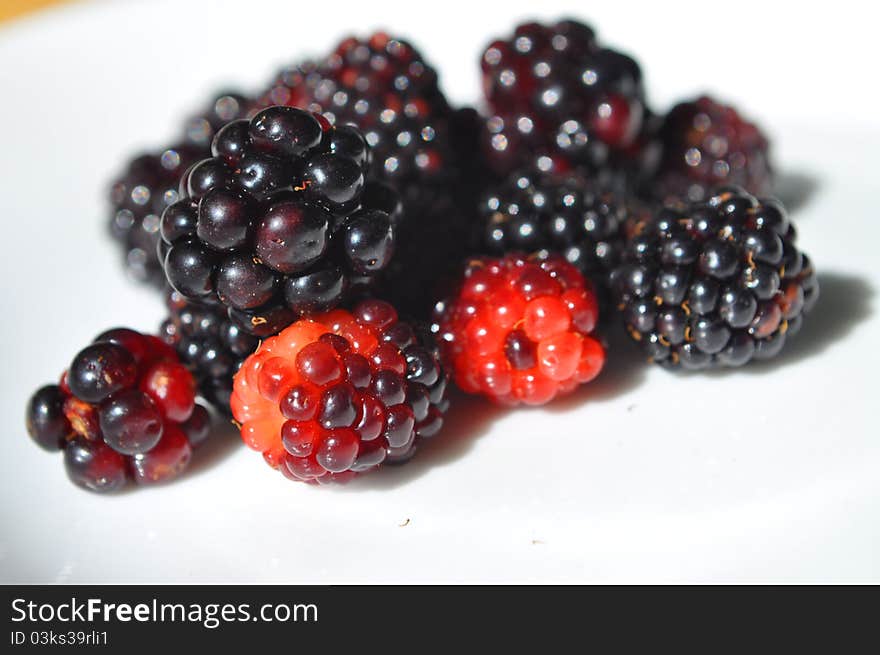 A Color photograph of blackberries. A Color photograph of blackberries