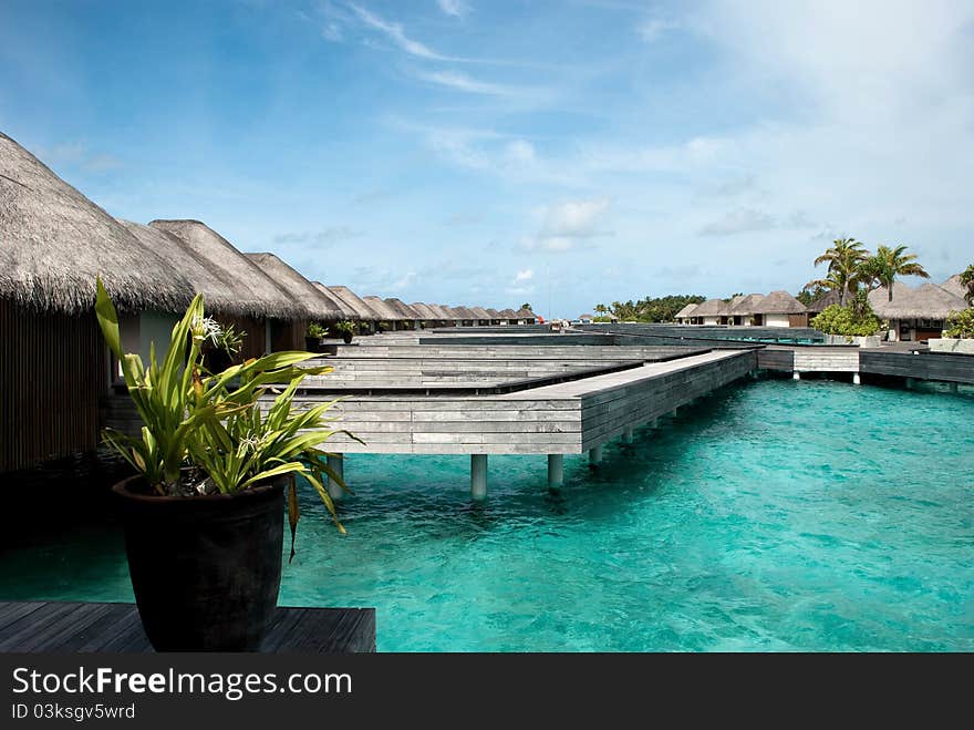 Relax in maldives