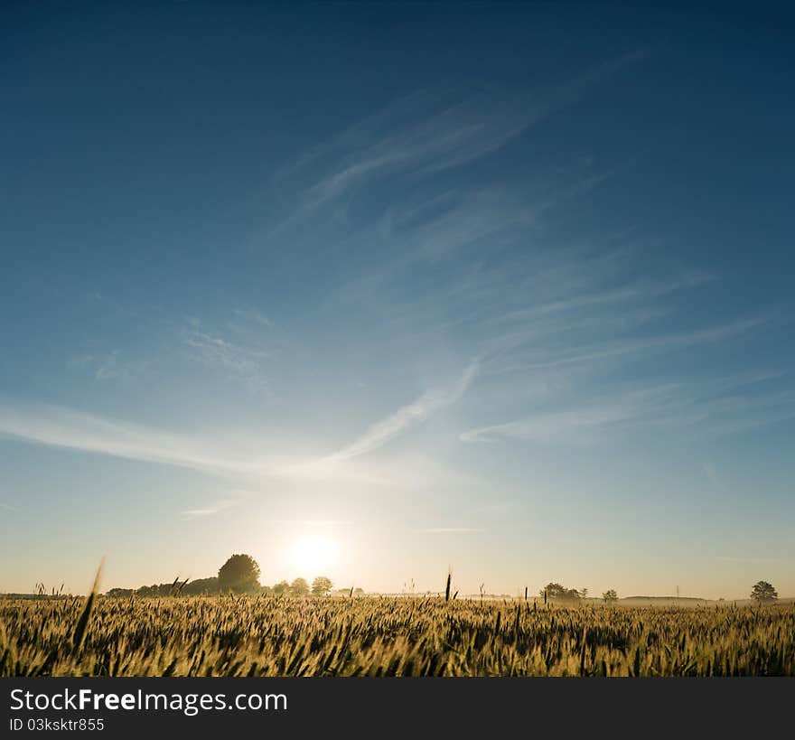 Occurring yellow sun behind the clouds on a warm evening