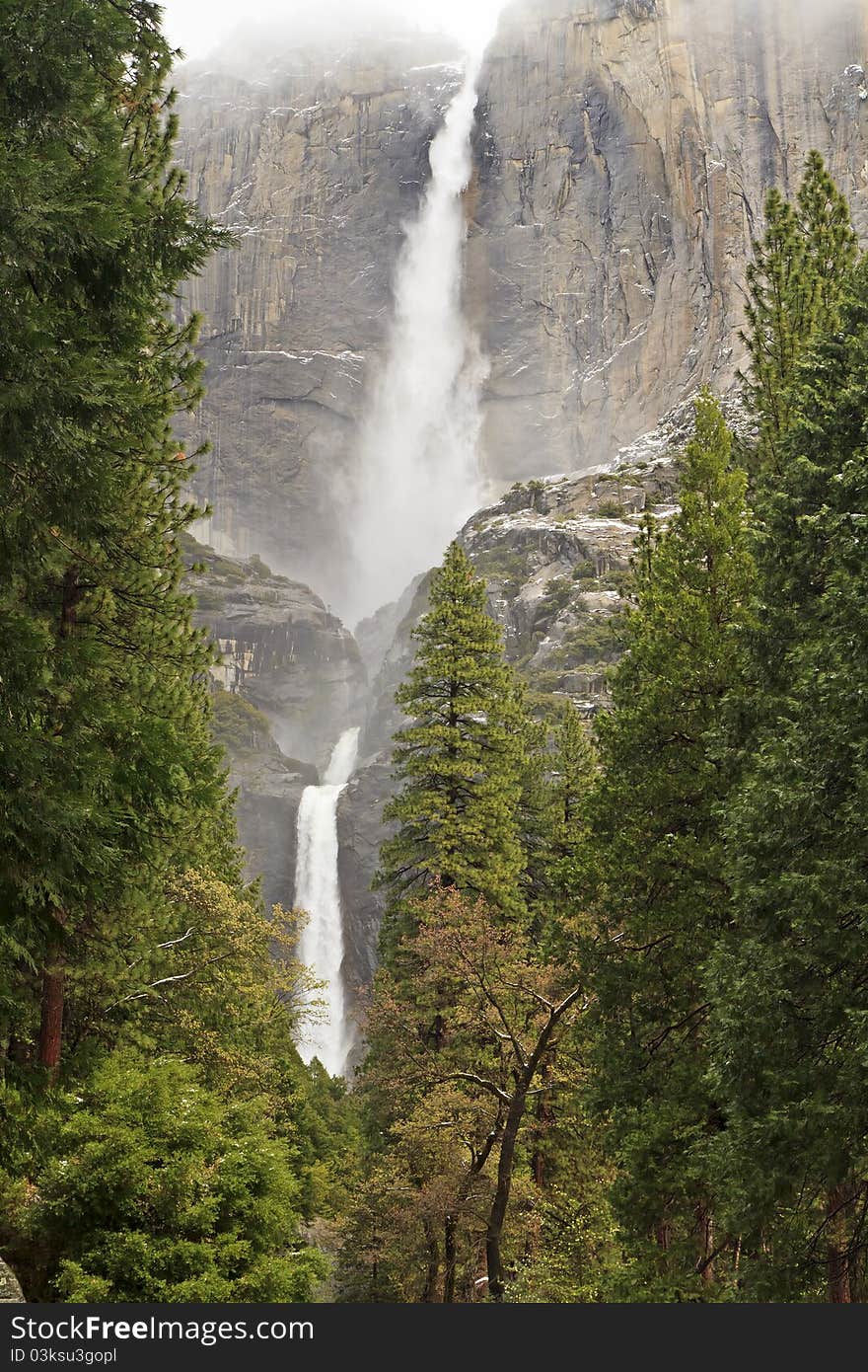 Powerful Yosemite Falls seen through Ponderosa pines in Yosemite National Park, California - the tallest waterfall in North America. Powerful Yosemite Falls seen through Ponderosa pines in Yosemite National Park, California - the tallest waterfall in North America