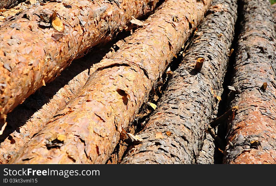 Logs