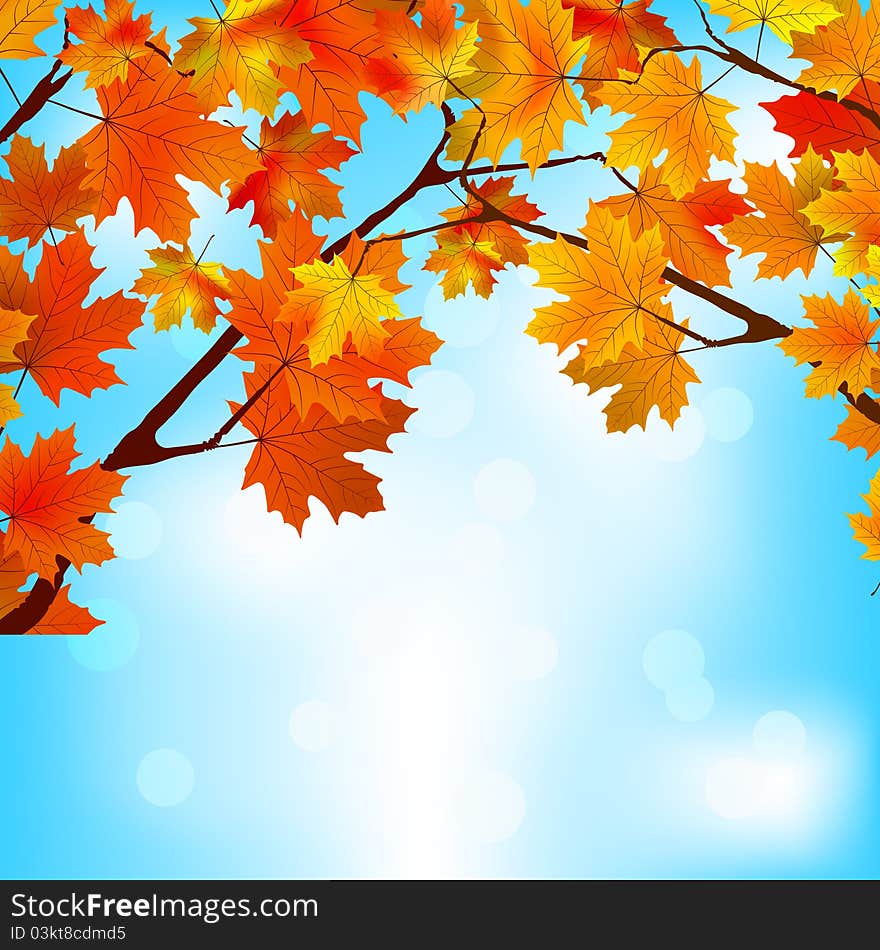 Red and yellow leaves against a bright blue sky. EPS 8 file included. Red and yellow leaves against a bright blue sky. EPS 8 file included