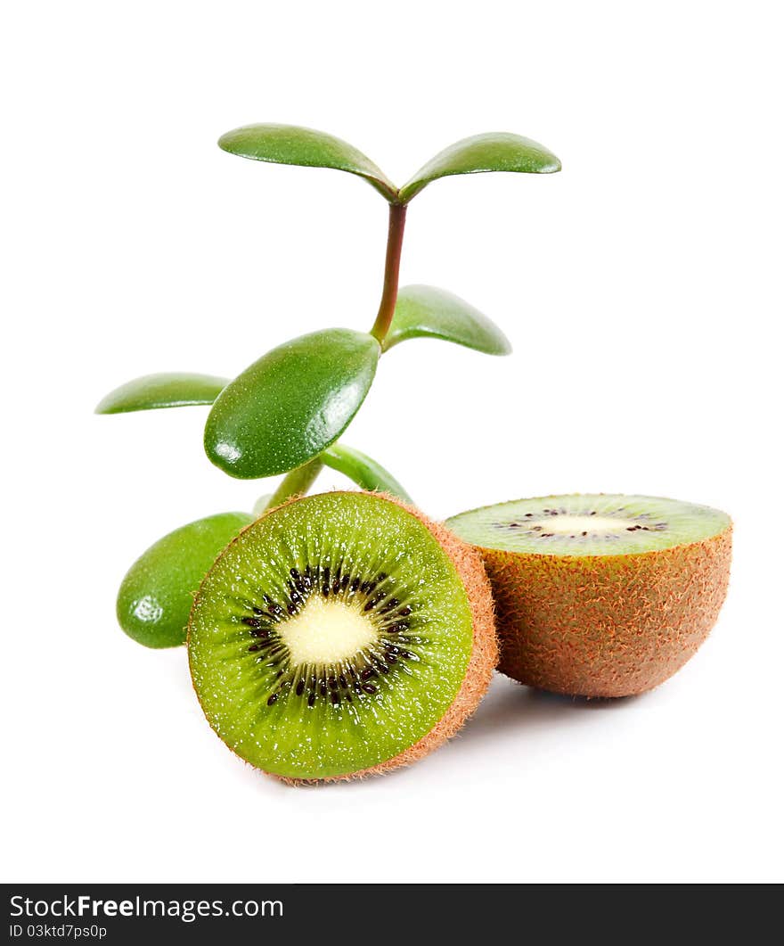 Ripe kiwi isolated on a white background