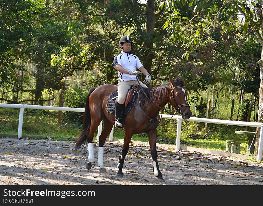 Rider On Brown Horse