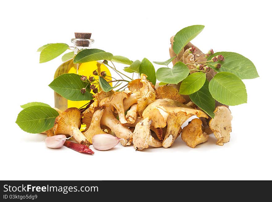 Olive oil and edible mushrooms isolated on white background. Olive oil and edible mushrooms isolated on white background