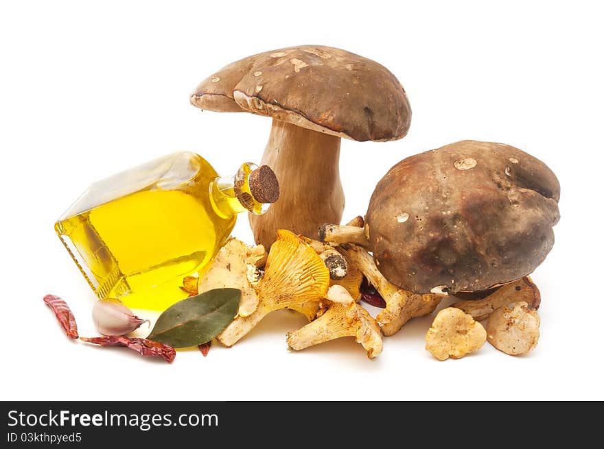 Olive oil and edible mushrooms isolated on white background. Olive oil and edible mushrooms isolated on white background