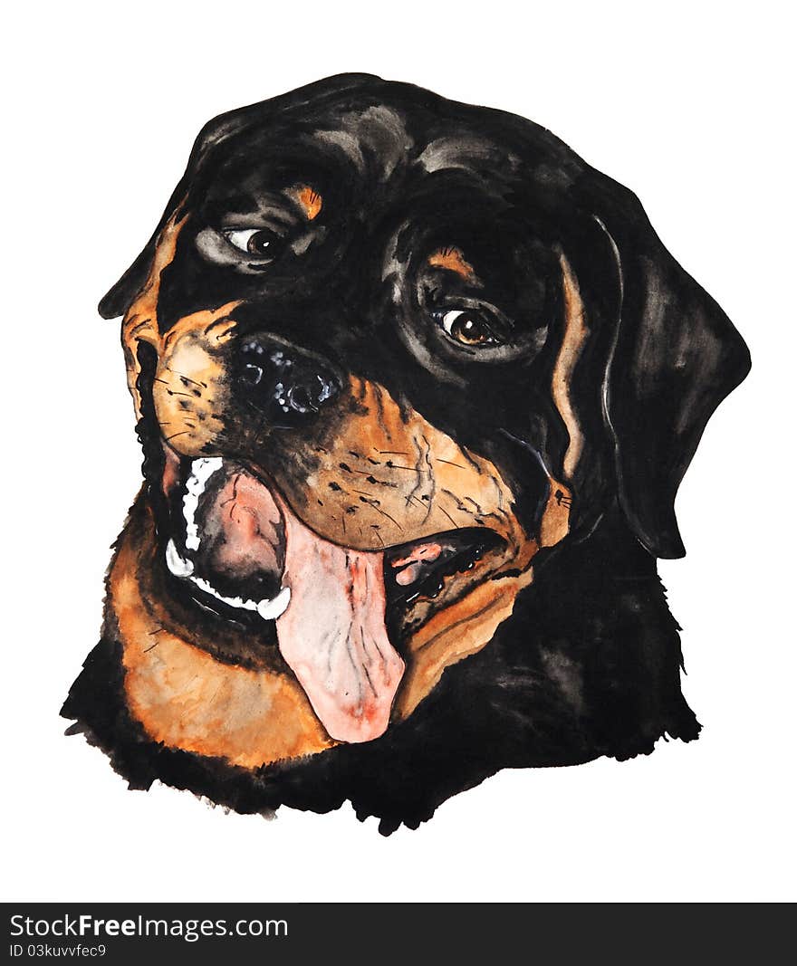 Portrait Of A Rottweiler. Drawing Watercolor