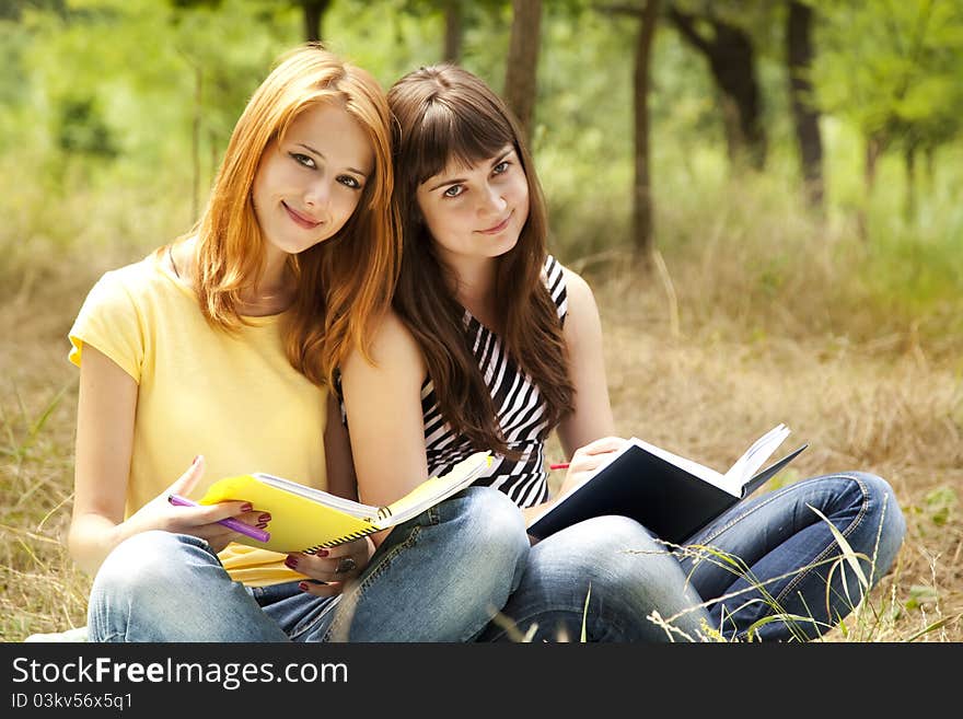 Girlfriends doing homework at the park.