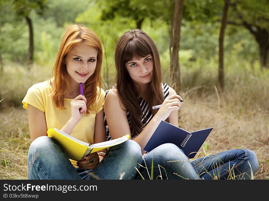 Girlfriends doing homework at the park.