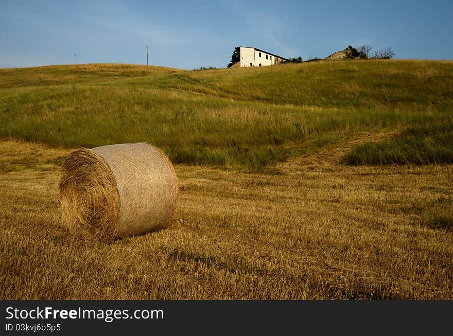 Round Bales on meadow