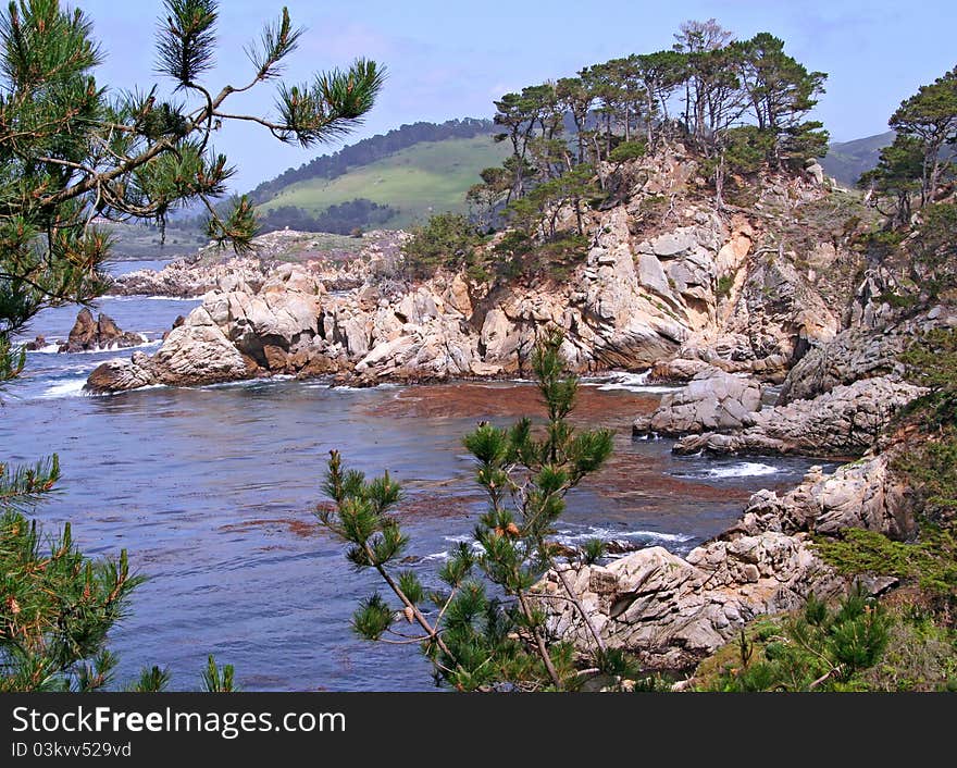 Landscape with ocean and rock. Point Lobos, California.