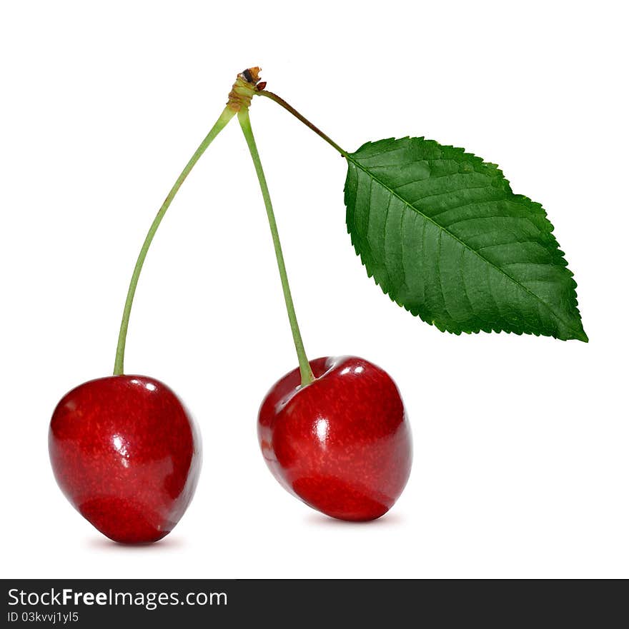 Two cherries isolated on white. Two cherries isolated on white