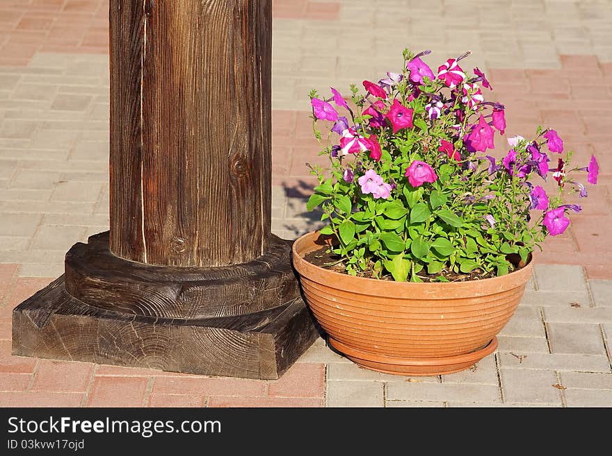 Vase of flowers standing in the column at the entrance to a cafe. Vase of flowers standing in the column at the entrance to a cafe