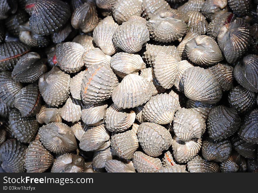 Fresh cockles for sale at a market, sea in thailand