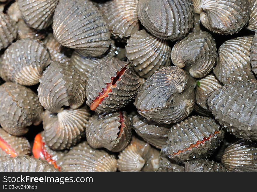 Fresh cockles for sale at a market, sea in thailand