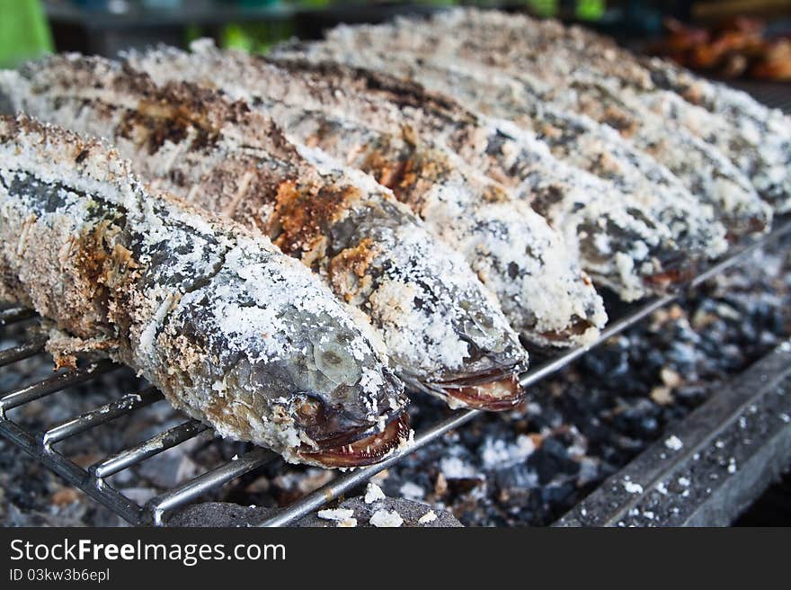 Freshwater fish Grill,Striped snake head fish