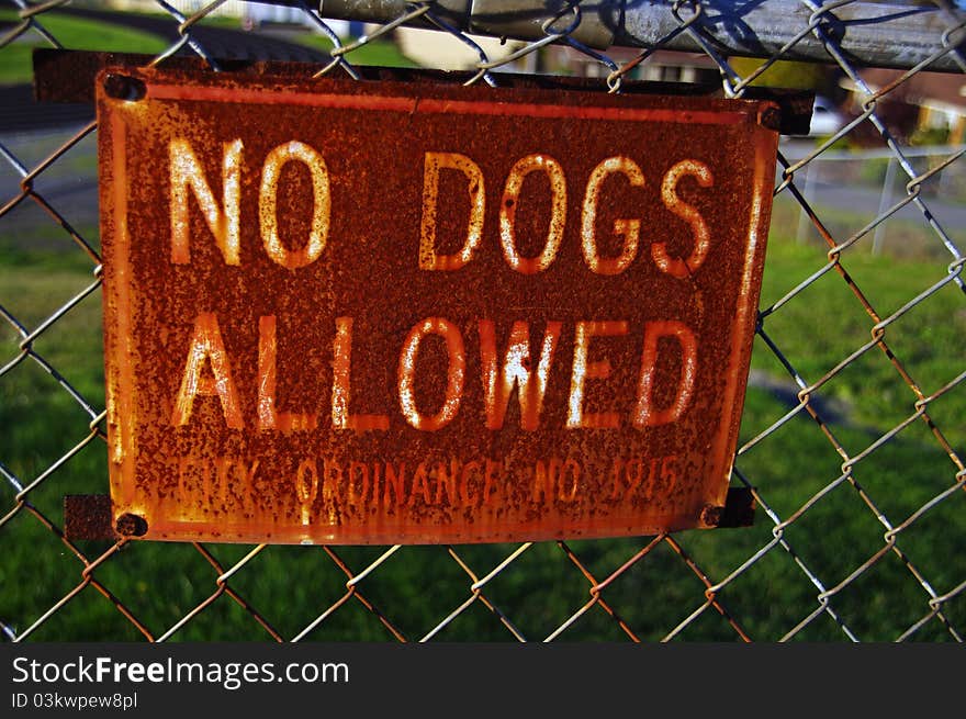 No Dogs Allowed