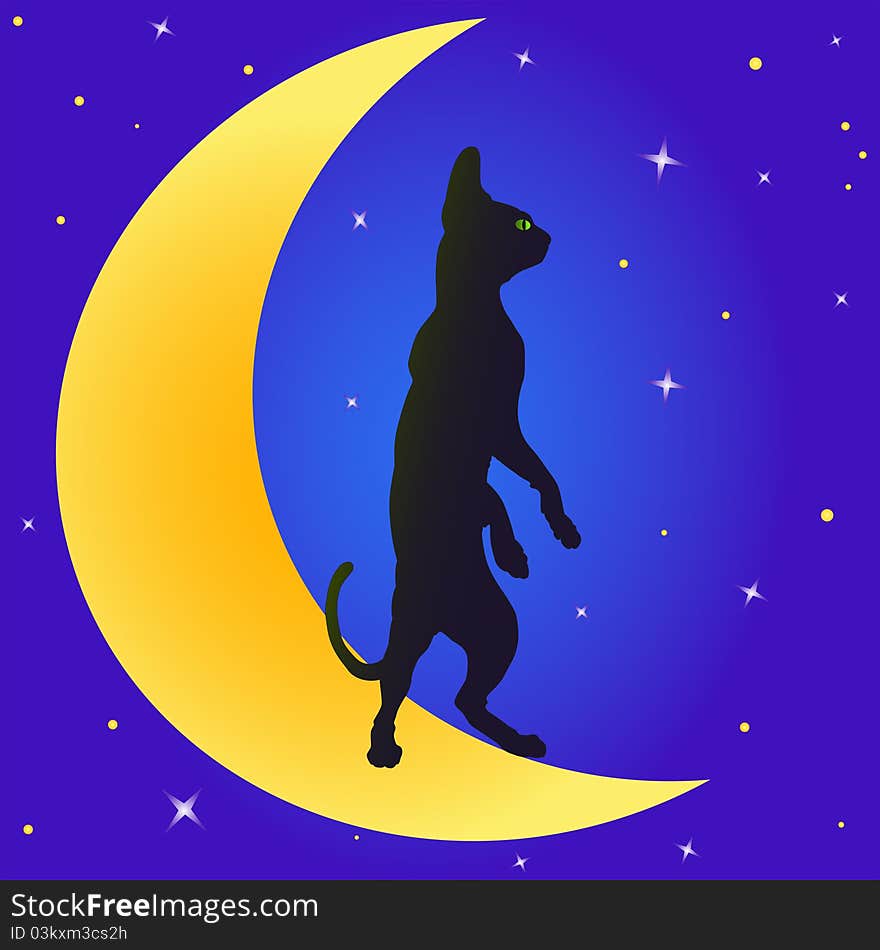 Cat's silhouette on the Moon. Cat's silhouette on the Moon