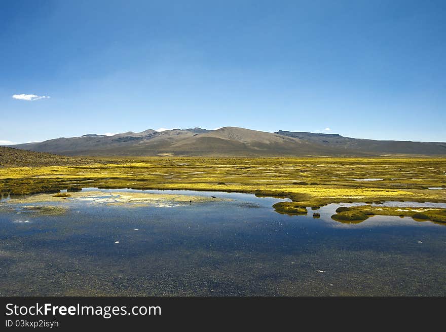 A high-altitude swap in the plains of Peru. A high-altitude swap in the plains of Peru