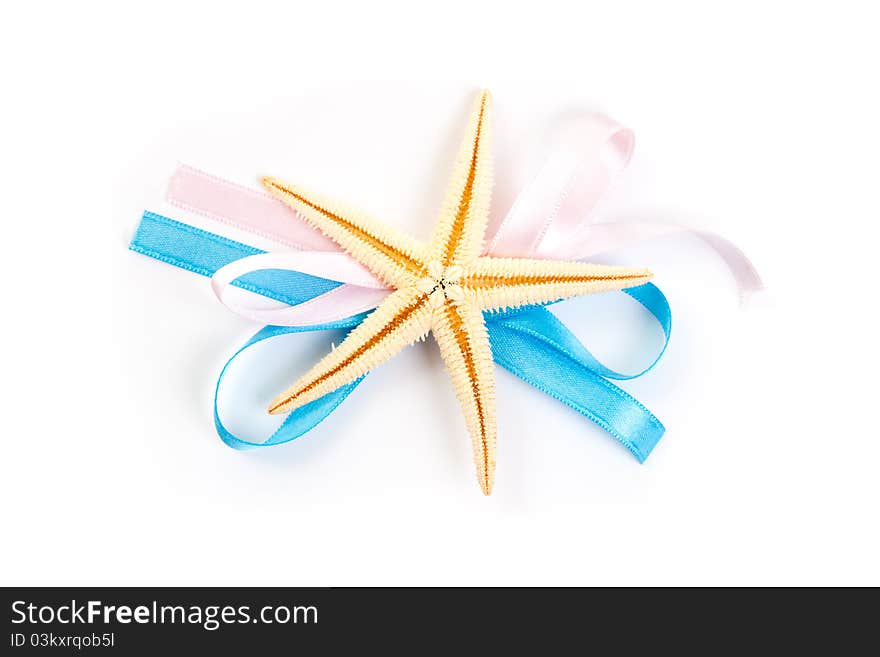 Sea star isolated over white background. Sea star isolated over white background