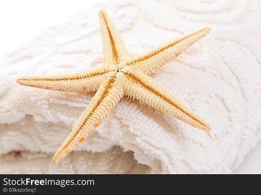 Starfish on soft white towel (close-up)