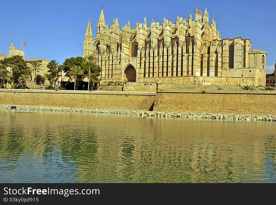 Palmas cathedral