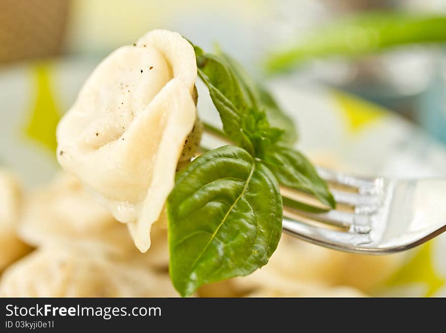 Delicious freshly cooked ravioli on a plate. Delicious freshly cooked ravioli on a plate