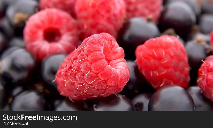 Raspberry and currant berries