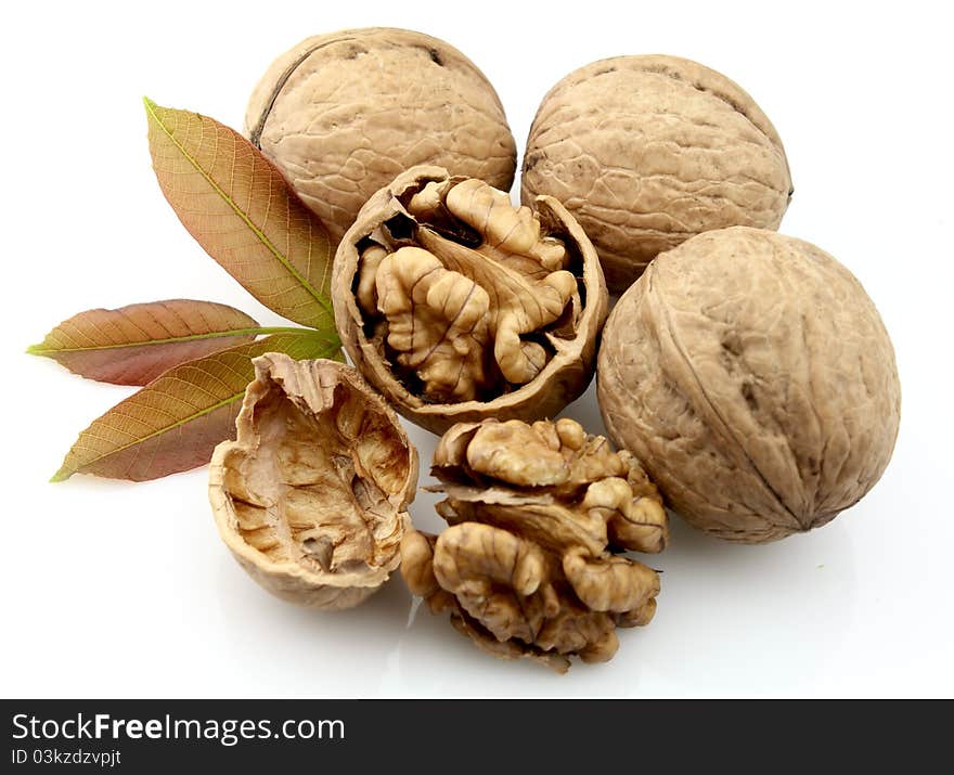 Dried walnut with leaf close up