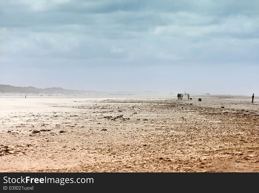 Ethereal landscape of a beach during sand storm