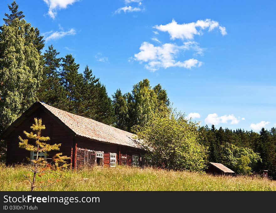 Barn in the forest.