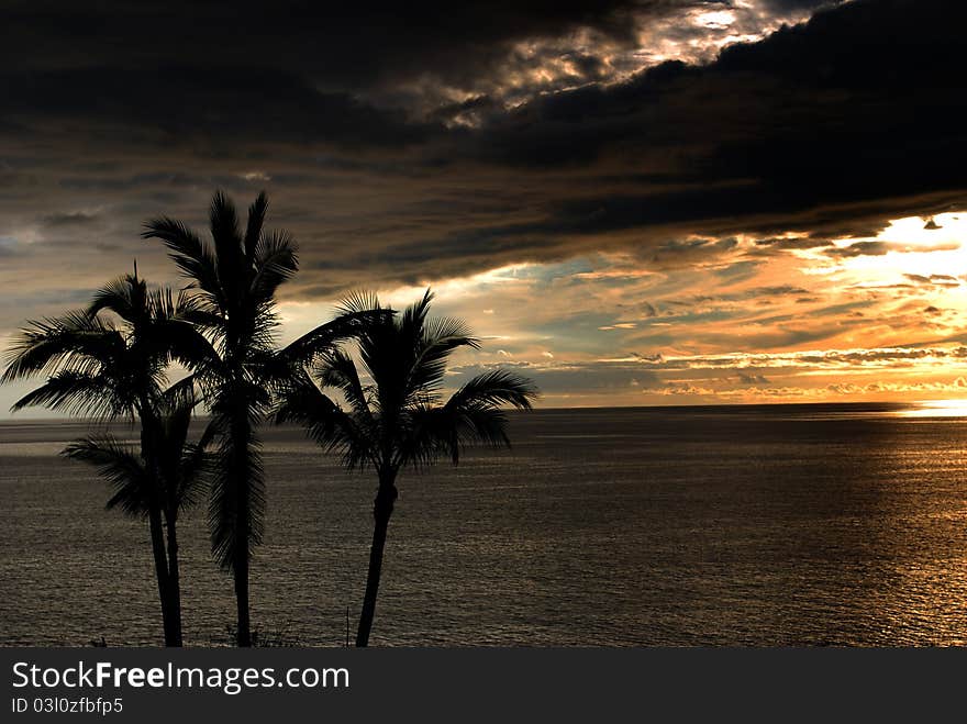 Canaria sunset