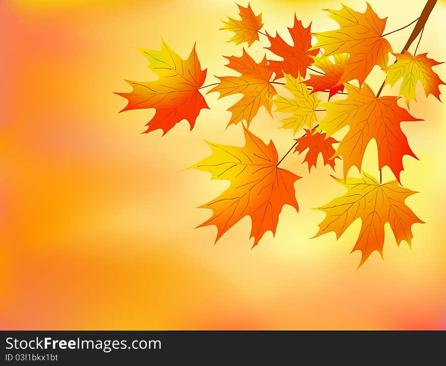 Vector illustration of orange autumn leaves