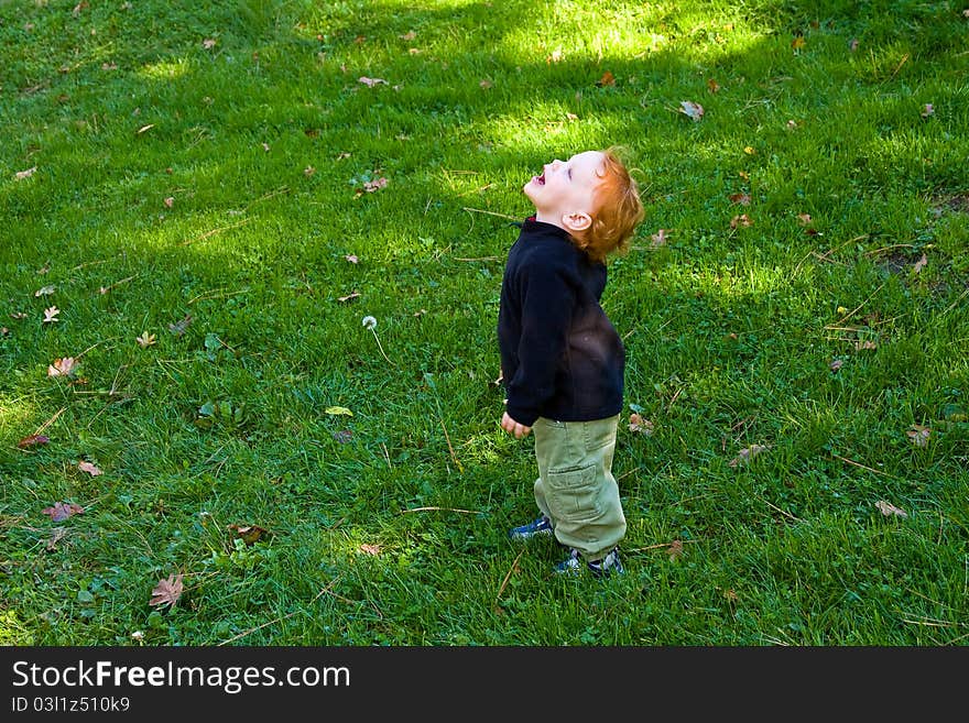 A little boy happy and playing in the park. A little boy happy and playing in the park.