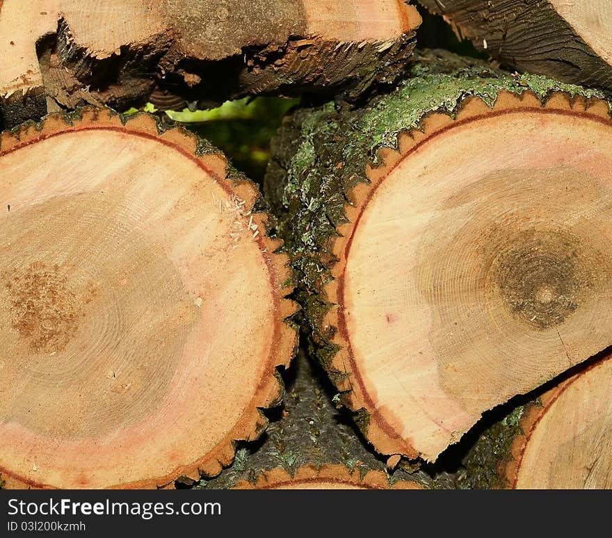 Freshly cut logs are neatly stacked in a woodpile. Freshly cut logs are neatly stacked in a woodpile.