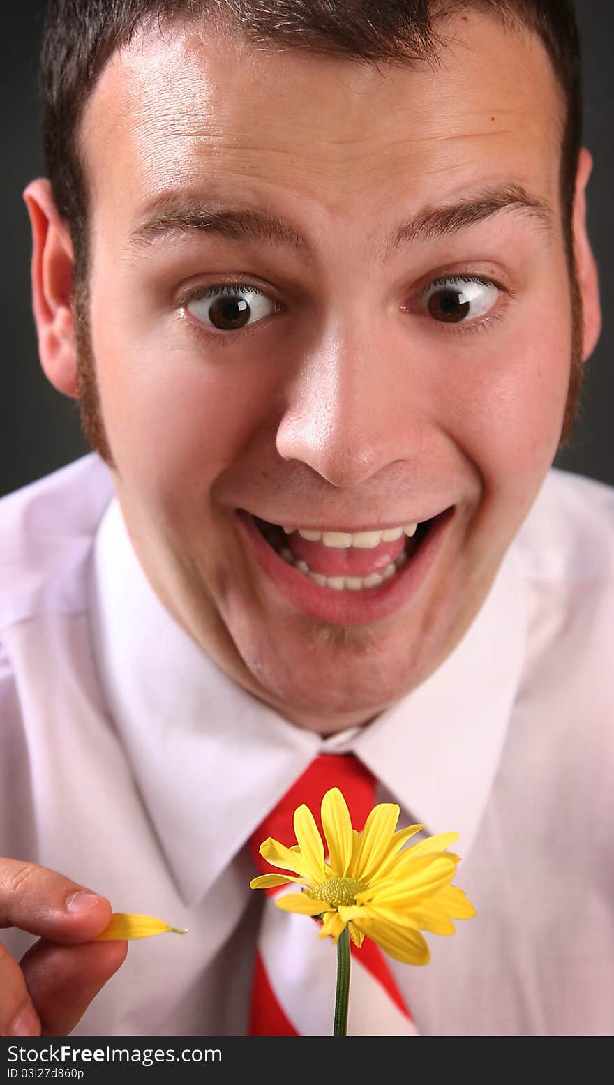 Funny guy with yellow flower. Funny guy with yellow flower