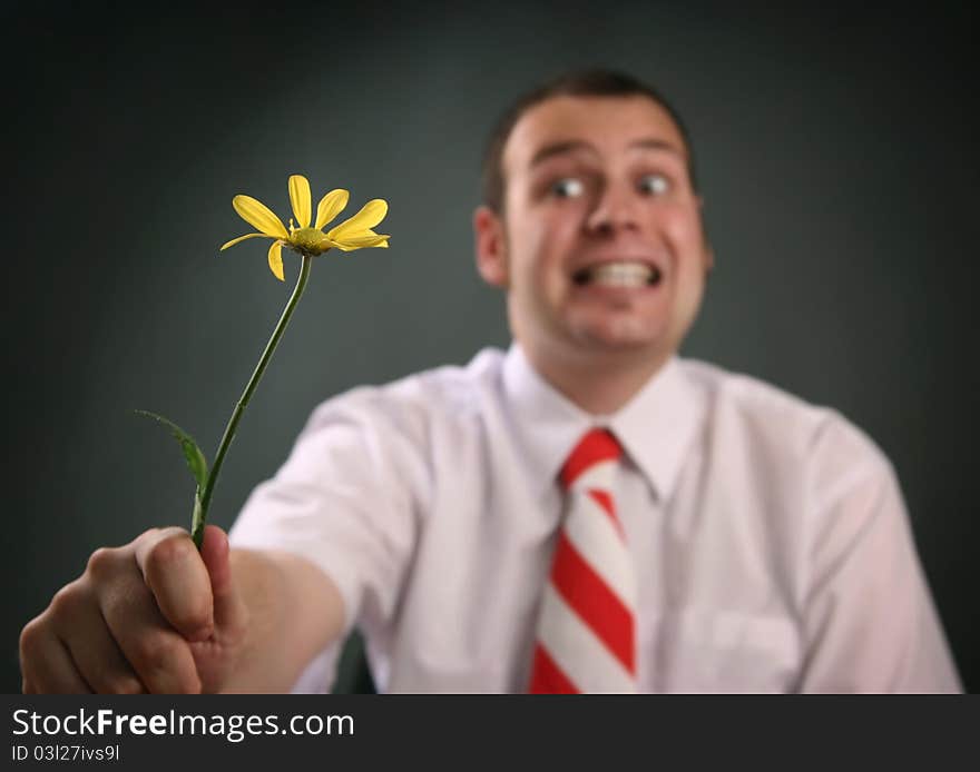 Funny guy with yellow flower. Funny guy with yellow flower