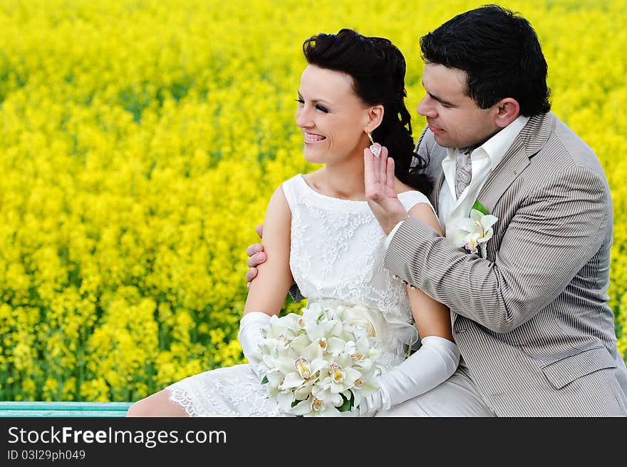 Newly-married couple on the background of field. Newly-married couple on the background of field