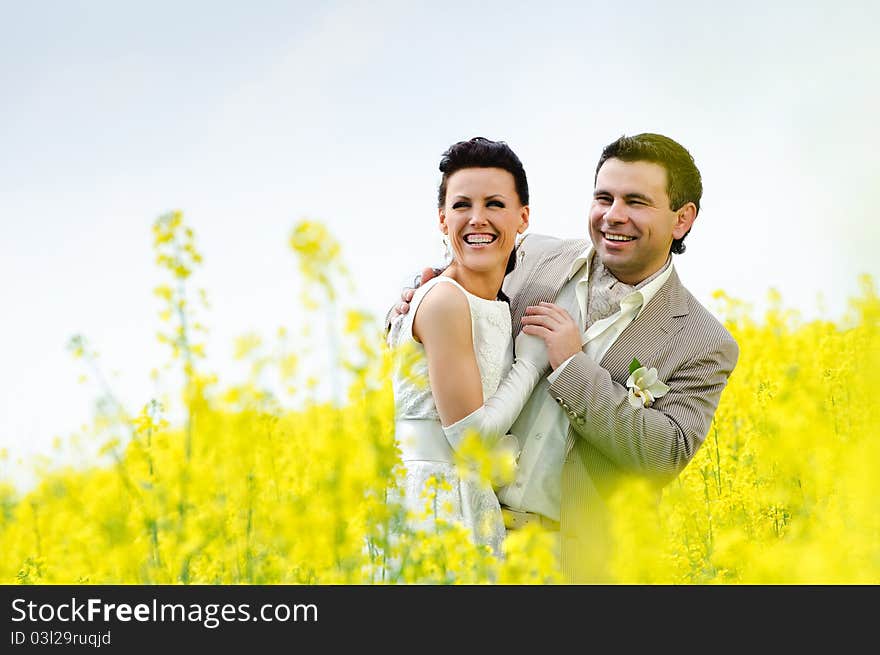 Newly-married couple in a field. Newly-married couple in a field