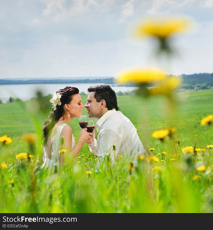 Bride and Groom kissing with a glasses in the field of dandelion. Bride and Groom kissing with a glasses in the field of dandelion