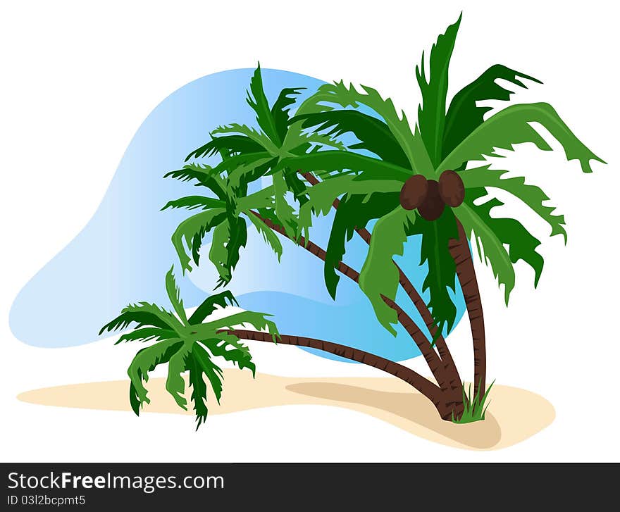 Tropical landscape illustration isolated on white background. Tropical landscape illustration isolated on white background