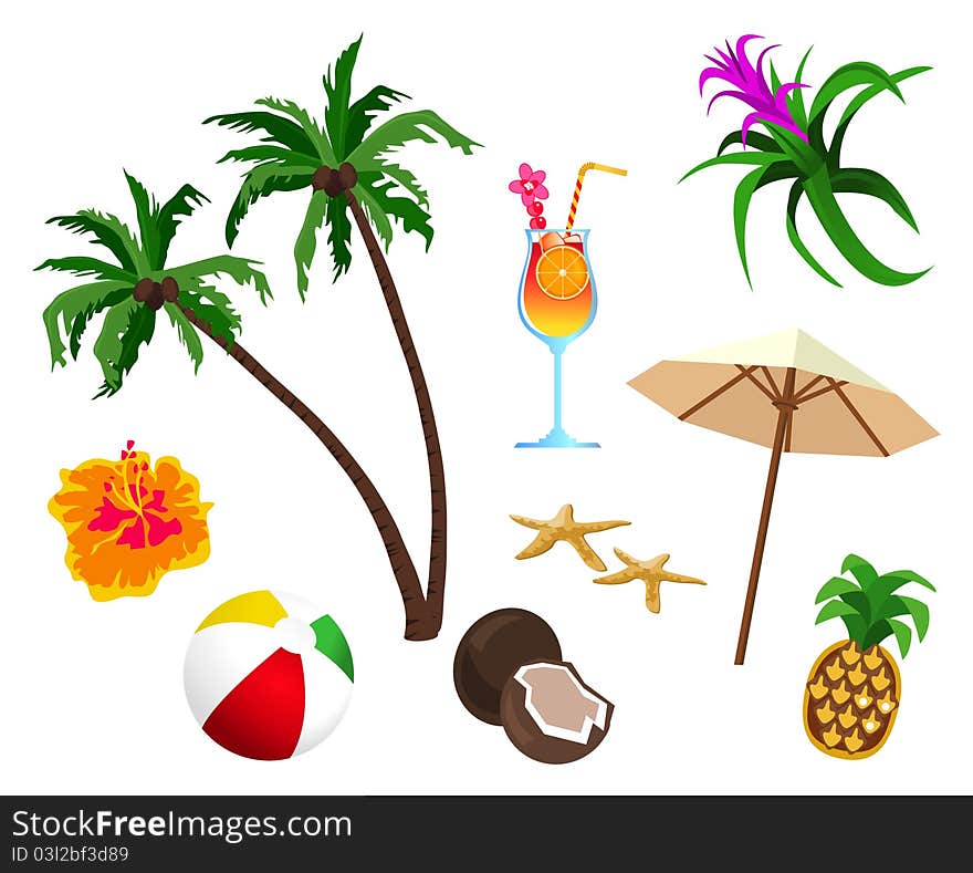 Tropical themed objects isolated on white background. Tropical themed objects isolated on white background