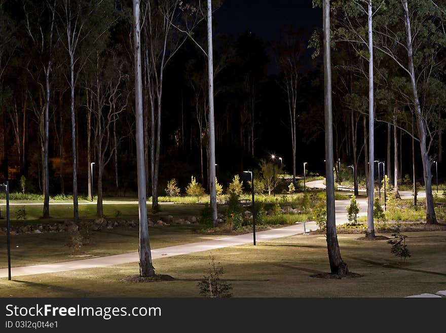 A nighttime scene with lighted walkways meandering through tall eucalyptus trees in an Australian park. A nighttime scene with lighted walkways meandering through tall eucalyptus trees in an Australian park