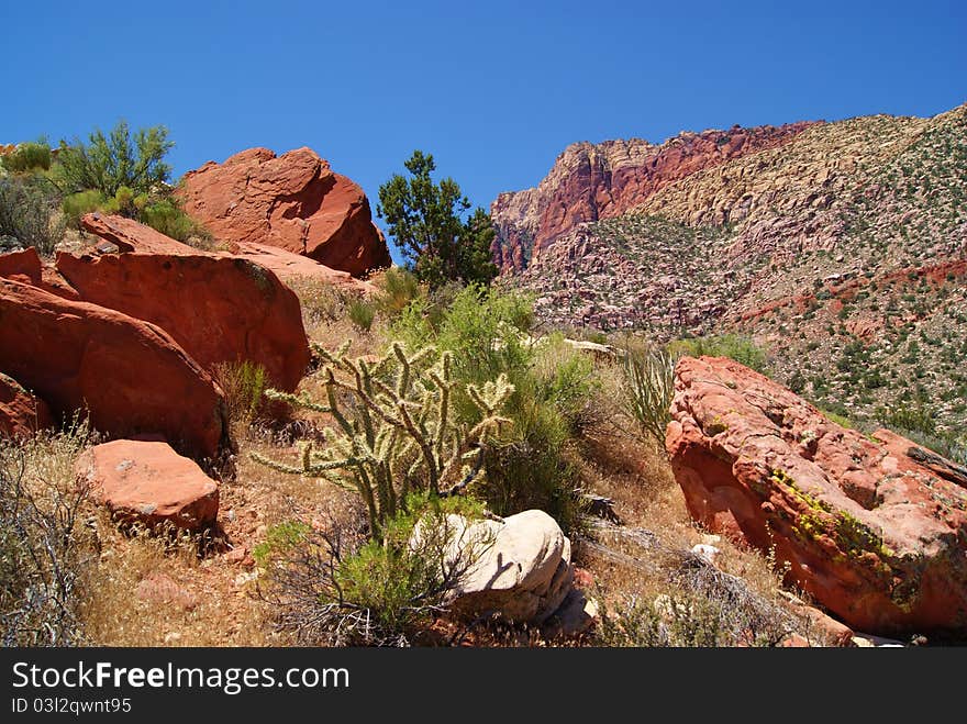 Colorful Rocks on the hill in Front of Wilson Cliffs. Colorful Rocks on the hill in Front of Wilson Cliffs