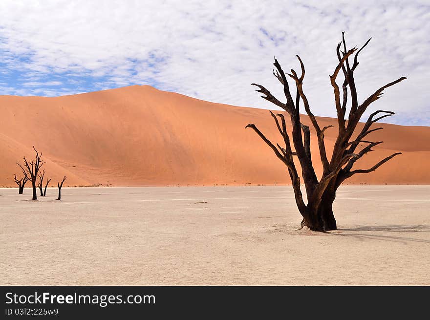 Desert Namib,Namibia,Sossusvlei pan